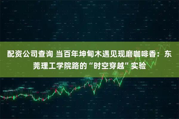 配资公司查询 当百年坤甸木遇见现磨咖啡香：东莞理工学院路的“时空穿越”实验