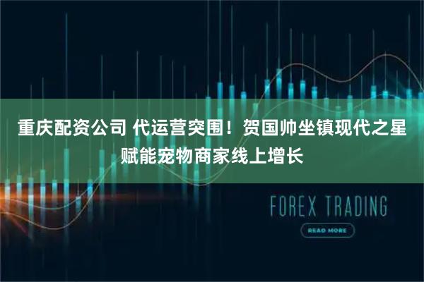 重庆配资公司 代运营突围！贺国帅坐镇现代之星赋能宠物商家线上增长