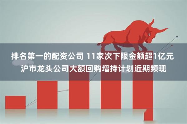 排名第一的配资公司 11家次下限金额超1亿元 沪市龙头公司大额回购增持计划近期频现